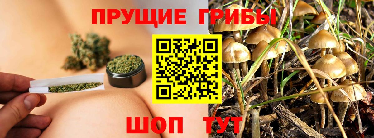 Котельники  Галлюциногенные грибы Psilocybe  Вход с VPN 